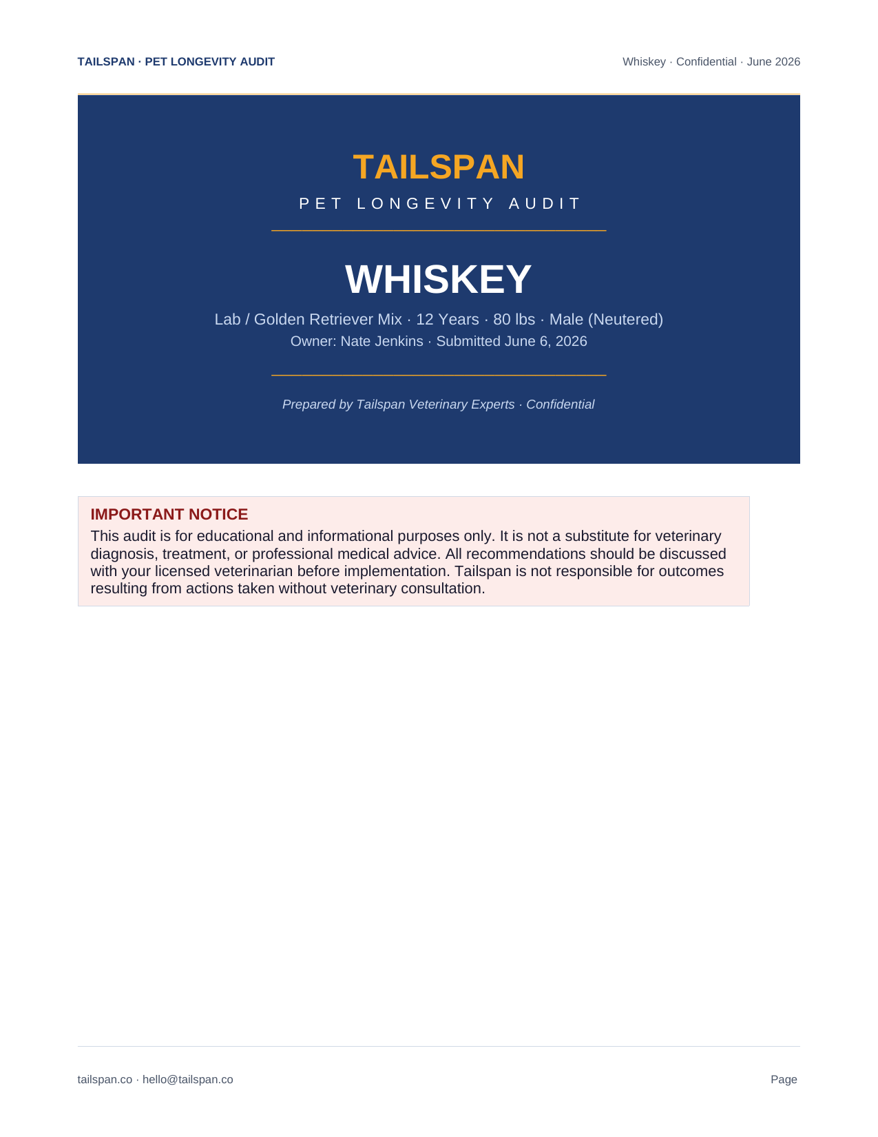 Sample audit page 1