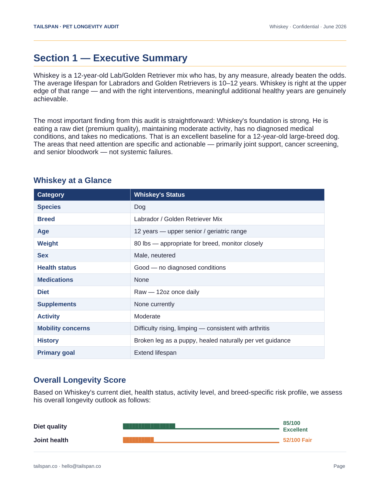 Sample audit page 2